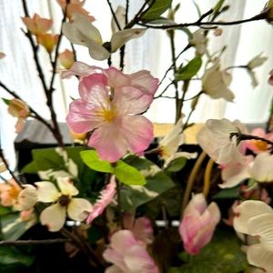 Meet your Posher, Viki